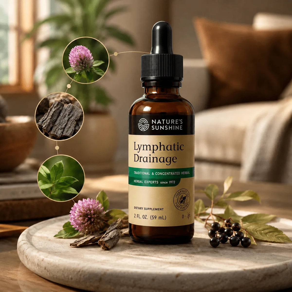 Lymphatic Drainage - Tu rutina herbal para sentirte bien cada día